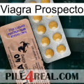 Prospecto Viagra 41